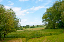 Blick aus dem Biergarten